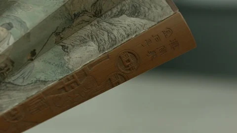 Shanzi Stock Footage 118113105