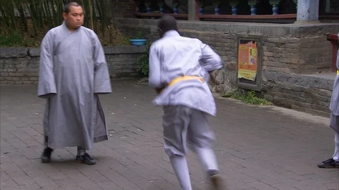Shaolin monk performing kung Fu in front of trainer Video stock 89813243