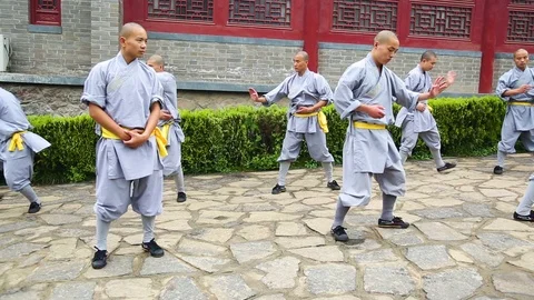 Shaolin monks training Kung fu Vídeos de archivo 88677072