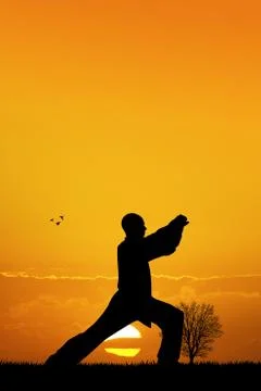 Shaolin silhouette at sunset Stock Illustration