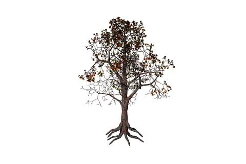 Shape apple tree white background 3d rendering Stock Illustration