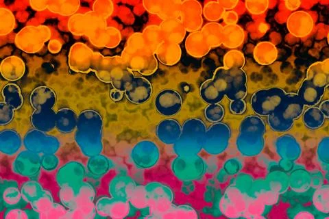 Shape of bacterial cell: cocci, bacilli, spirilla bacteria Stock Illustration
