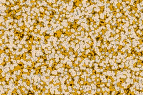 Shape of bacterial cell: cocci, bacilli, spirilla bacteria Stock Illustration