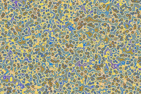 Shape of bacterial cell: cocci, bacilli, spirilla bacteria Stock Illustration