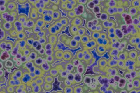 Shape of bacterial cell: cocci, bacilli, spirilla bacteria Stock Illustration