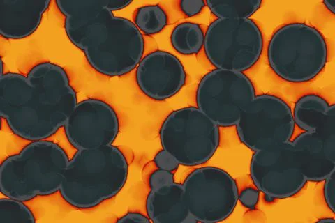 Shape of bacterial cell: cocci, bacilli, spirilla bacteria Stock Illustration