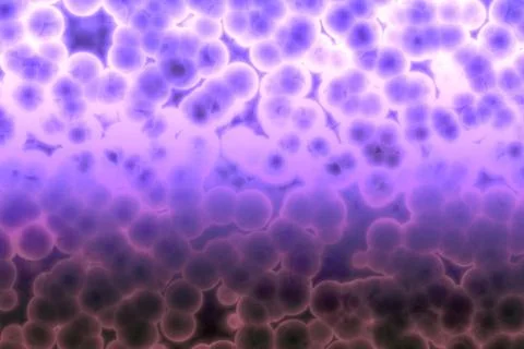 Shape of bacterial cell: cocci, bacilli, spirilla bacteria Stock Photos