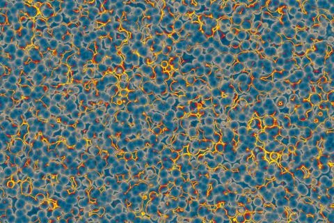 Shape of bacterial cell: cocci, bacilli, spirilla bacteria Stock Photos
