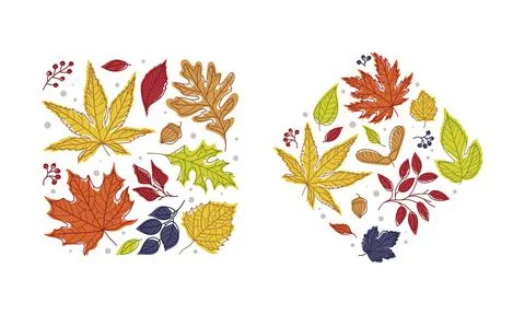 Shape with Bright Autumn Foliage of Different Leaf Color Vector Arrangement Set Stockillustratie