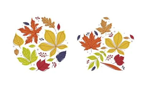 Shape with Bright Autumn Foliage of Different Leaf Color Vector Arrangement Set イラスト素材