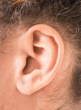 Shape of the ear Stock Photos