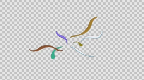 Shape Elements Pack 6 colored stylish, trendy 2d flash fx shape elements. To cus Stock Footage 68068666