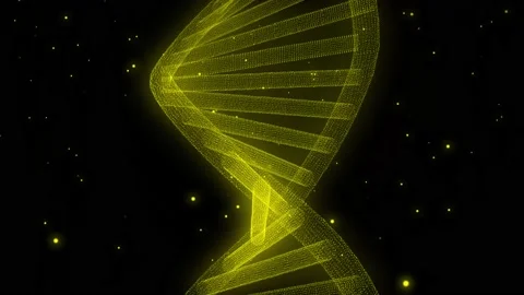 Shape Stock Footage 155228308