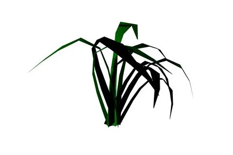 Shape grass green and black leaf white background 3d rendering Stock Illustration