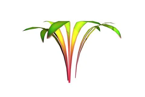 Shape grass green and red leaf white background 3d rendering Stock Illustration