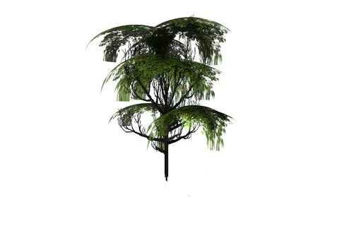 Shape green tree dense crown 3d rendering Stock Illustration