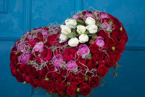 Shape of heart made of natural multicolored roses isolated on blue Stock Photos