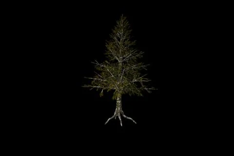 Shape Hemlock tree black background 3d rendering Stock Illustration