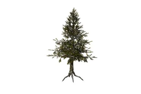 Shape hemlock tree white background 3d rendering Stock Illustration