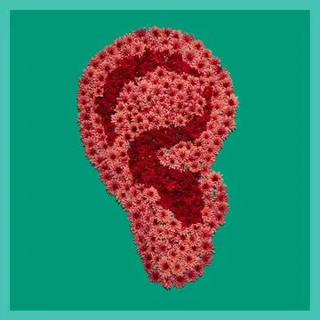 Shape of human ear, flower installation, hearing health concept. Part of set  Stock Photos