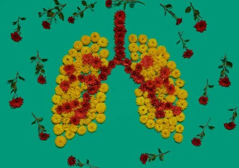 Shape of human lungs, flower installation, lungs health concept. Part of se.. Stock Photos
