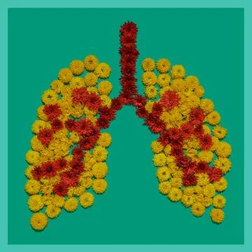 Shape of human lungs, flower installation, lungs health concept. Part of set  Stock Photos