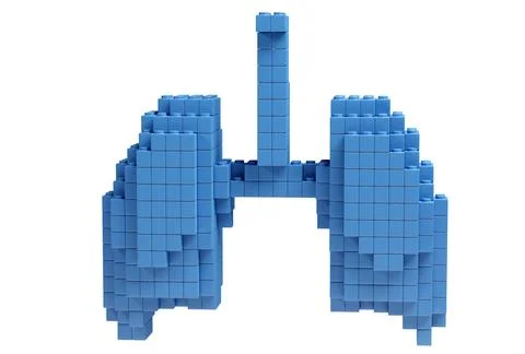 Shape of Lung brick kid toy, clipping path, 3D rendering Stock Illustration
