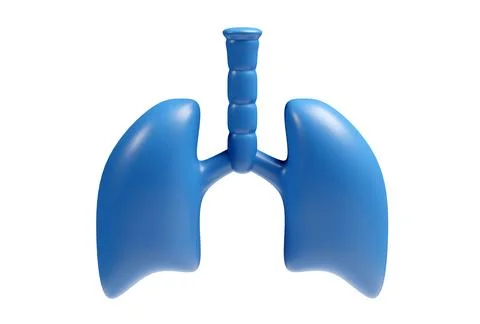 Shape of Lung , clipping path, 3D rendering Stock Illustration