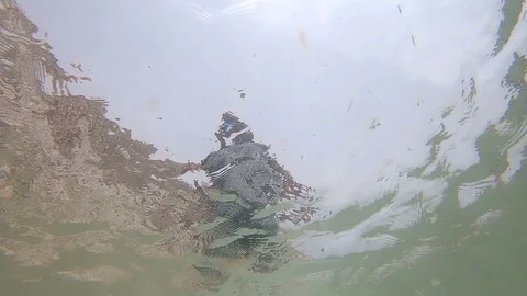 Shape of man appears as water waves calming down. Underwater shot Stock Footage 108720377