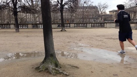 In-shape Man Jogs in the Tuileries Garden, Paris, France, 2015 Video stock 88252050