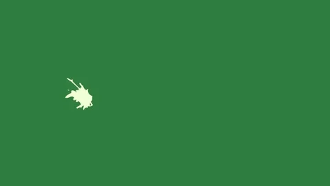 Shape Moving With Map On Chroma Key For Compositing Stock Footage 338014989