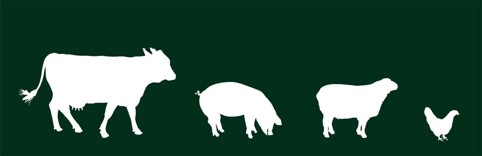 Shape shadow farm animals set vector silhouette イラスト素材