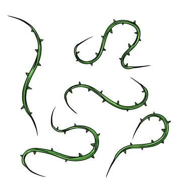 Shape of sharp liana vines. イラスト素材