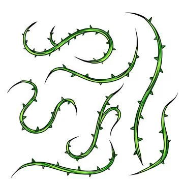 Shape of sharp liana vines. Jungle thorn branch Stock Illustration