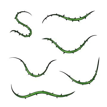 Shape of sharp liana vines. Jungle thorn branch Stock Illustration
