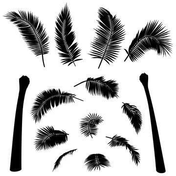 Shape of straight coconut palm tree elements Stockillustratie