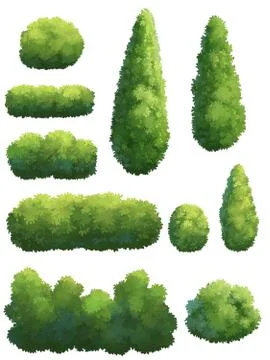 The shape of the tree in the garden. Stock Illustration