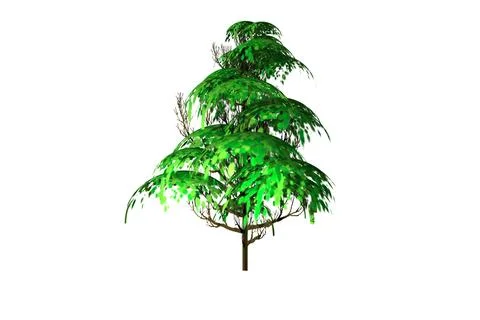 Shape tree green leaf white background 3d rendering Illustrazione stock