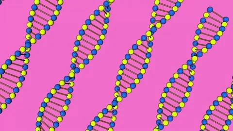 Shaped animation of a DNA molecule Stock Footage 144707538