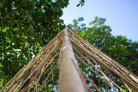 A-shaped bamboo frame Stock Photos