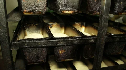 Shaped bread in a workshop. Stock Footage 68019292