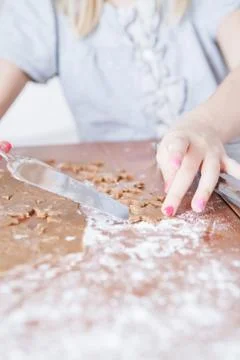Shaped gingerbread dough moved with server Foto stock