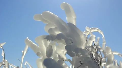 Shaped ice Stock Footage 47265504