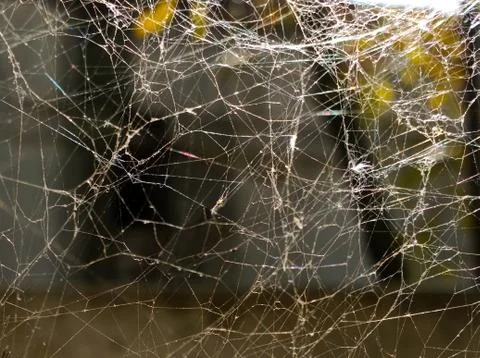 Shapeless spider web Stock Photos
