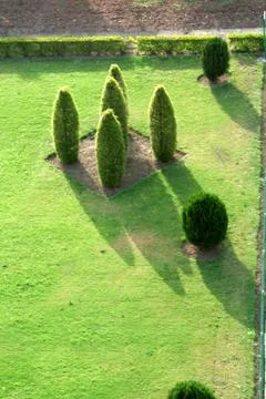 Shapes in Foliage Stock Photos