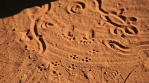 Shapes with red sand in aboriginal art style Stock Footage 300429328