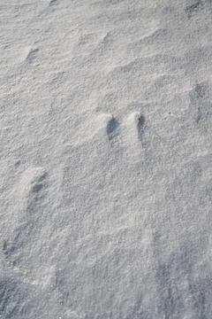 Shapes, textures, patterns created by snow and wind. Stock Photos