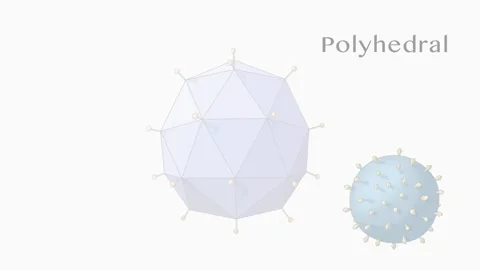 Shapes of Viruses, Animation, Labeled Stock-Footage 194822645