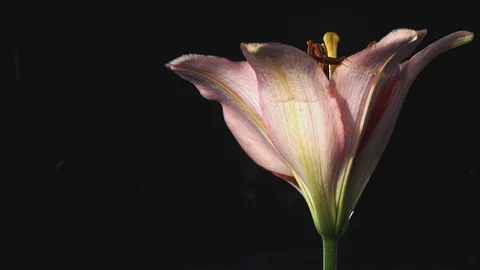 Shapes of Water Stock Footage 90350447