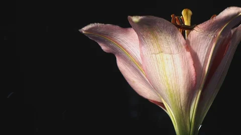 Shapes of Water Stock Footage 90350448